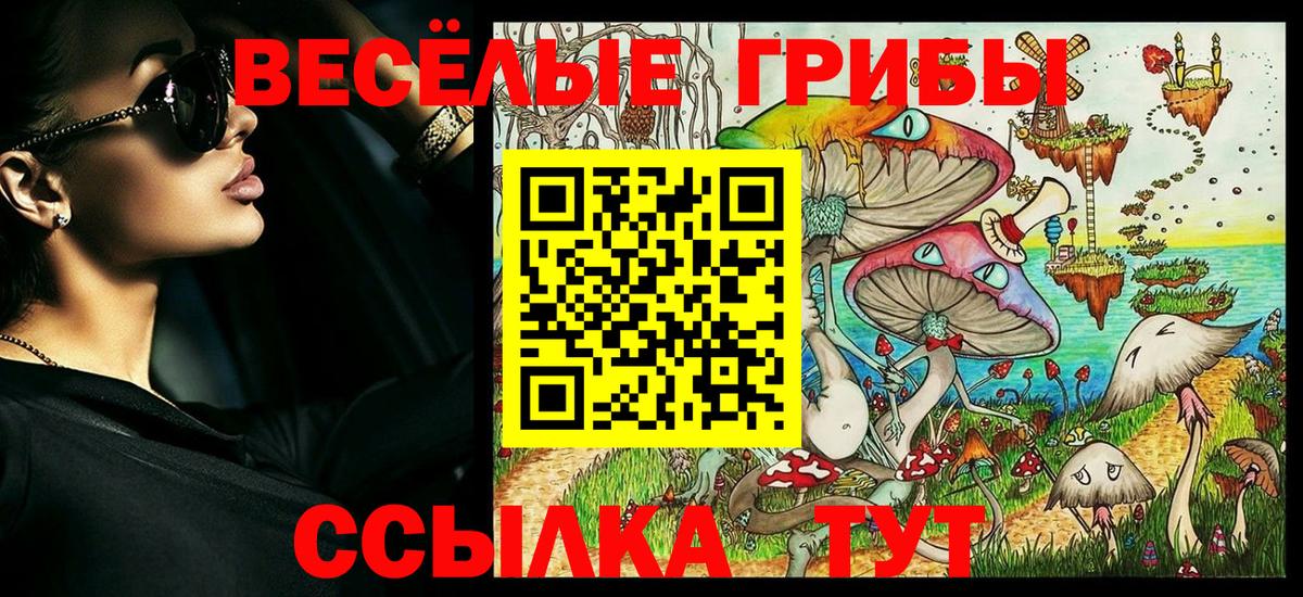 Псилоцибиновые грибы GOLDEN TEACHER Петропавловск-Камчатский
