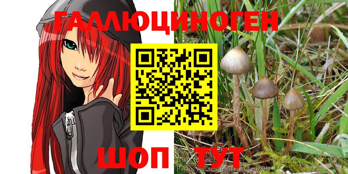 Петропавловск-Камчатский  закладки  Вход с VPN  Псилоцибиновые грибы MAGIC MUSHROOMS 